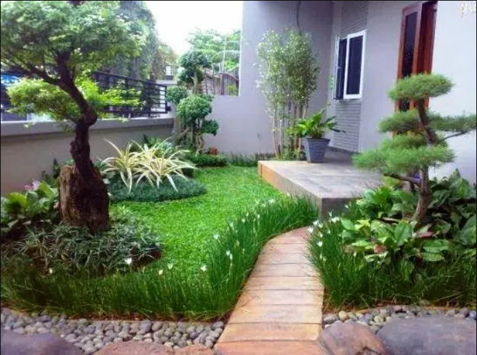rumah sejuk dengan pohon di taman